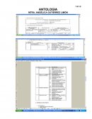 METODOLOGIA DE LA INVESTIGACION DE OPERACIONES Y FORMULACION DE MODELOS