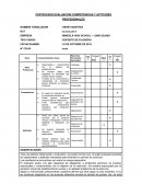 Informe "El profesor"