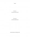 Papa criolla. Tipo de riesgo y causas