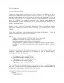 Plan de Negocios Formación de la empresa
