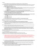 Cuál es la diferencia entre una posición larga y una posición corta en un contrato de futuros?