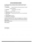 Acta de recepcion de bienes