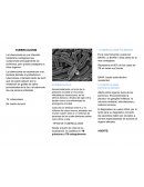 Tuberculosis Tb: tuberculosis Bk: bacilo de koch