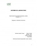 INFORME DE LABORATORIO Determinación de densidad de líquidos y solidos (Practico n° 1)