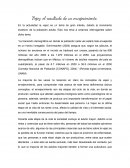 Vejez: el resultado de un envejecimiento