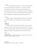 Diagnóstico de estructura organizacional, en una empresa real