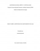 ENSAYO SOBRE LA IMPORTANCIA DEL ABASTECIMIENTO DEL AGUA