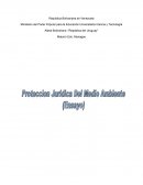 Ministerio del Poder Popular para la Educación Universitaria Ciencia y Tecnología Aldea Bolivariana :“República del Uruguay”