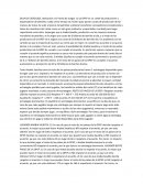 Teoria de Nash ejemplo de Arabia Saudita