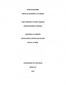 EL INDICE DE DESARROLLO HUMANO.