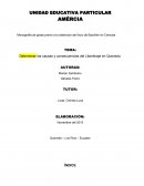 Determinar las causas y consecuencias del Libertinaje en Quevedo.