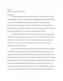 Ensayo Reflexión sobre la práctica docente