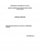 ANÁLISIS PSICOLOGICO DE LA PELÍCULA “BIENVENIDO PAISANO”