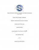 Análisis de textos Lectura expresión oral y escrita II (LEOyEII)