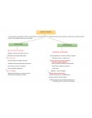 Los libros contables y balances