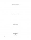 INFORMATICA PLAN DE MEJORAMIENTO