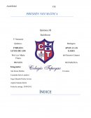 Presion neumatica