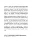 Pregunta 1. ¿Qué diferencia hay entre valores, principios y derechos constitucionales?