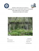 PROGRAMA DE FORMACIÓN TURISMO