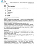 EXPLORACIONES Y REGISTROS