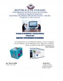 ANALISIS E INTELIGENCIA DE NEGOCIOS