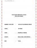 COMPARACION TEORIAS DEL DESARROLLO HUMANO