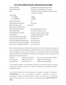 Acta de verificacion y recepcion de obra