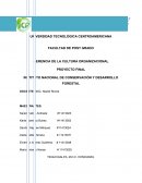 GERENCIA DE LA CULTURA ORGANIZACIONAL PROYECTO FINAL