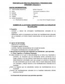 Propuesta de practica pedagógica