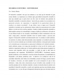 EJEMPLO DEL DESARROLLO SOSTENIBLE
