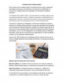 Profesión de contador publico