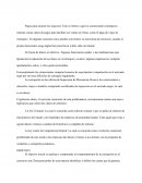 Como son los Indicadores de gestion