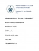 Proyecto escolar y autorrealización