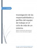 Equipo de trabajo en el ciclo de vida de un sistema