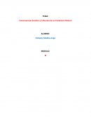 ENSAYO SOBRE CONSECUENCIAS SOCIALES Y CULTURALES DEL TERREMOTO DE 1985