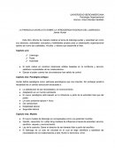 LA PARADOJA UN RELATO SOBRE LA VERDADERDA ESCENCIA DEL LIDERAZGO