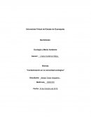 Biomas - Contaminación en la comunidad ecológica