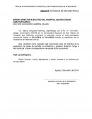 Ensayo sobre el Año de la Diversificación Productiva y del Fortalecimiento de la Educación.