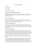 Formato de entrevista en profundidad