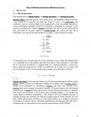 Métodos de estudio en Biología Celular