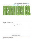 Objeto de estudio cargo director