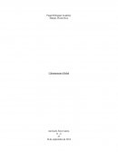 Calentamiento Global ¿Sabemos por qué está sucediendo este problema?