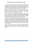 Descripcion de las caracteristicas de un lider