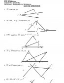 Guía de ejercicios de triángulos