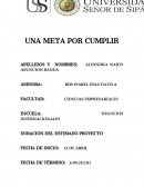 UNA META POR CUMPLIR NEGOCIOS INTERNACIONALES