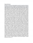 Despierta Michoacán