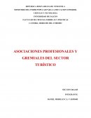 Asociaciones Profesionales y Gremiales del Sector Turístico