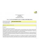 Tema 4. AGUAS SUPERFICIALES Y MARES SUBTERRANEOS