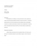 La toxoplamosis en el embarazo