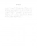 Ensayo de principios contables